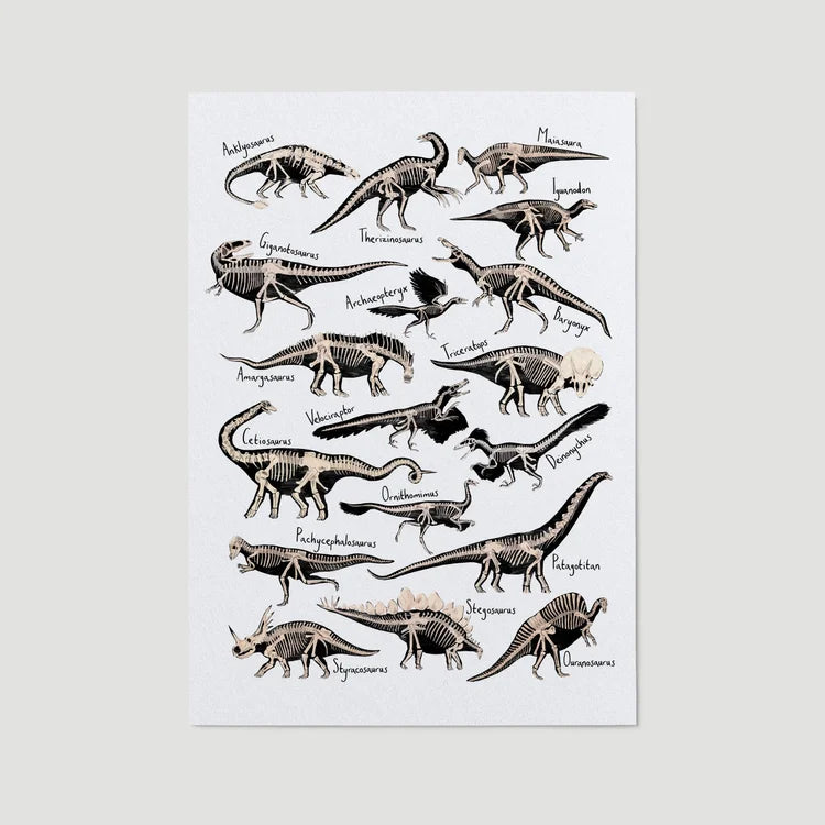 Dinosaur Fossils A4 Print