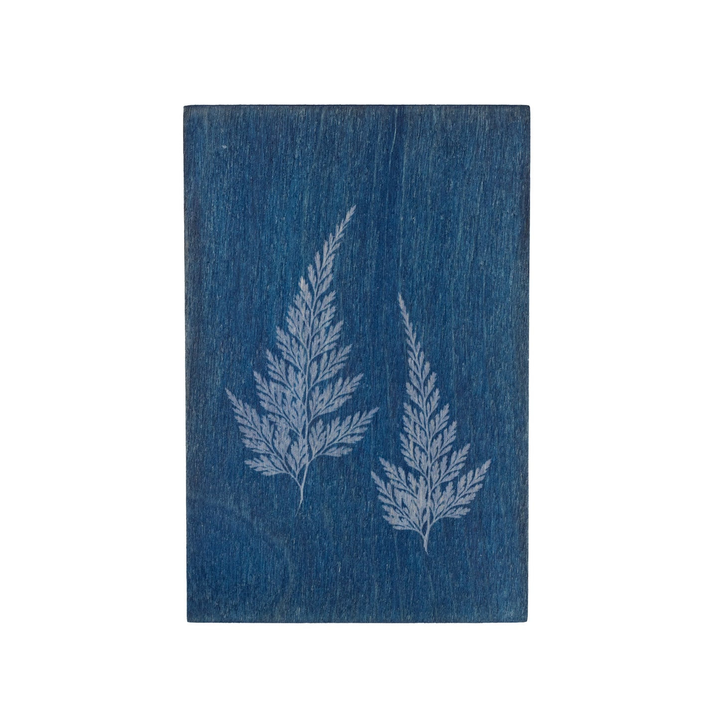 Wooden cyanotype postcard with a fern on it