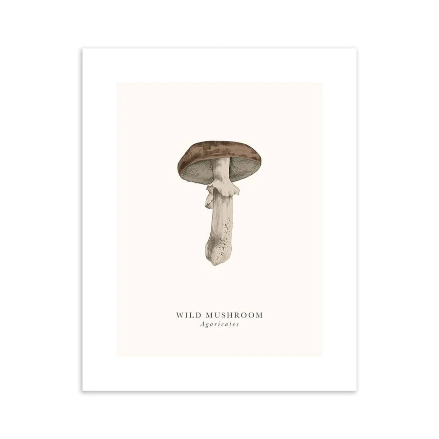 Mushroom Greetings Card