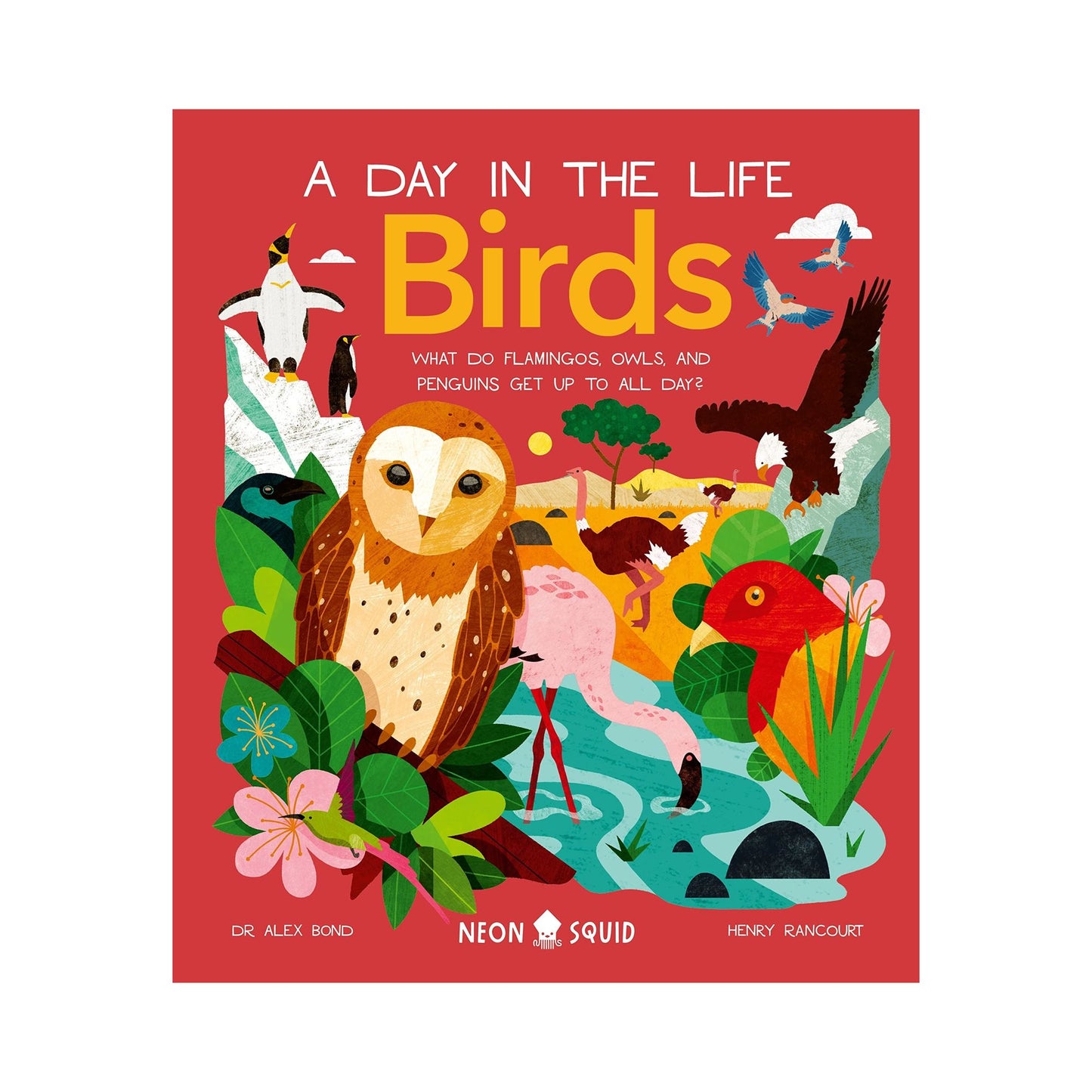 A Day in the Life: Birds