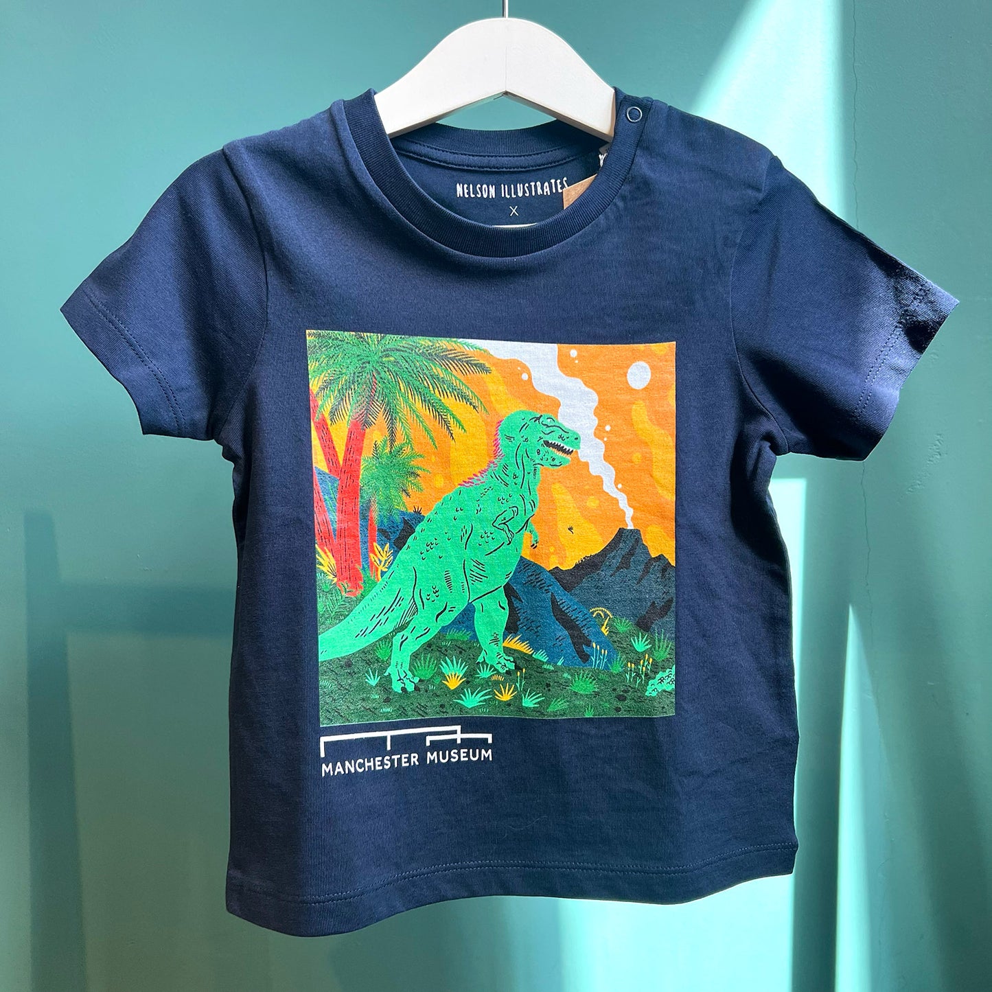Navy t-shirt with an illustration of a T-Rex on foot, hung up in front of a teal backdrop.