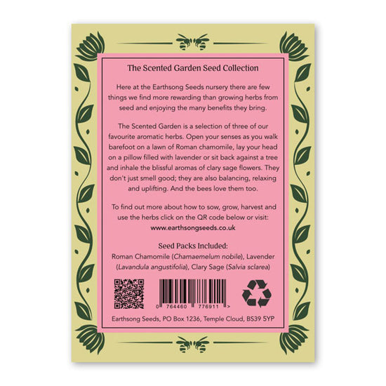 Reverse of green, pink and yellow floral illustrated packaging for a seed kit, featuring information about the product.