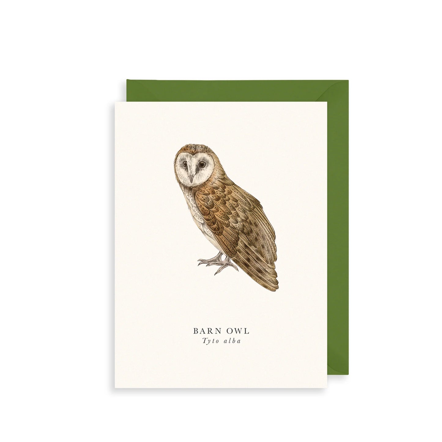 Barn Owl Greetings Card