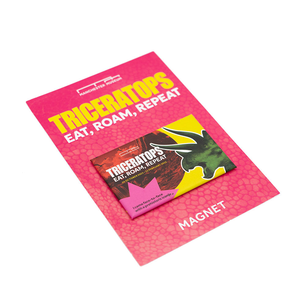 Colourful Triceratops-themed magnet on a white background