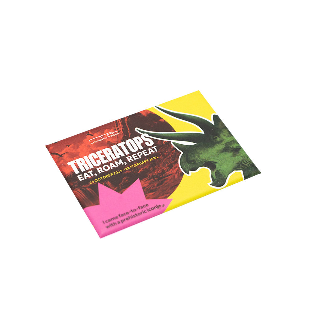 Colourful Triceratops-themed magnet on a white background