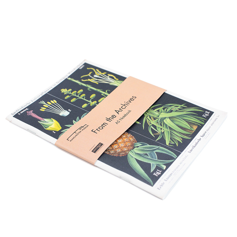 The pineapple and agave print with a dusky pink belly band around the middle. The belly band has black text reading, from the archives and below in smaller, A5 notebook.