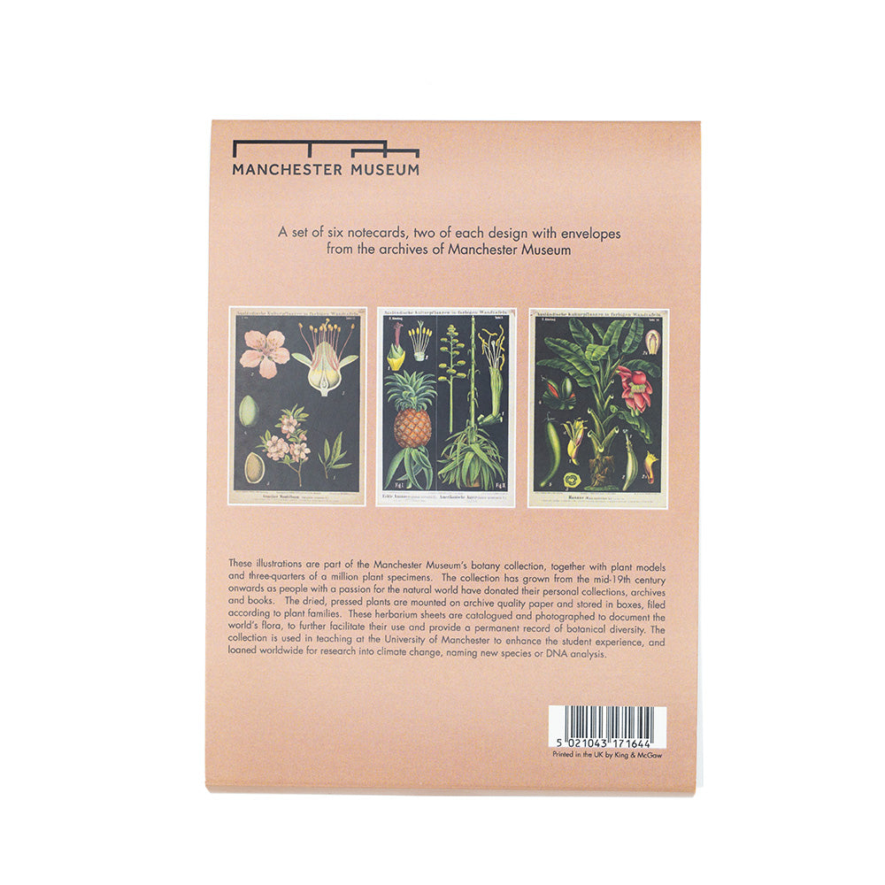 The back of the notecard pack showing the three motifs of the 6 cards. Almond, pineapple and banana.