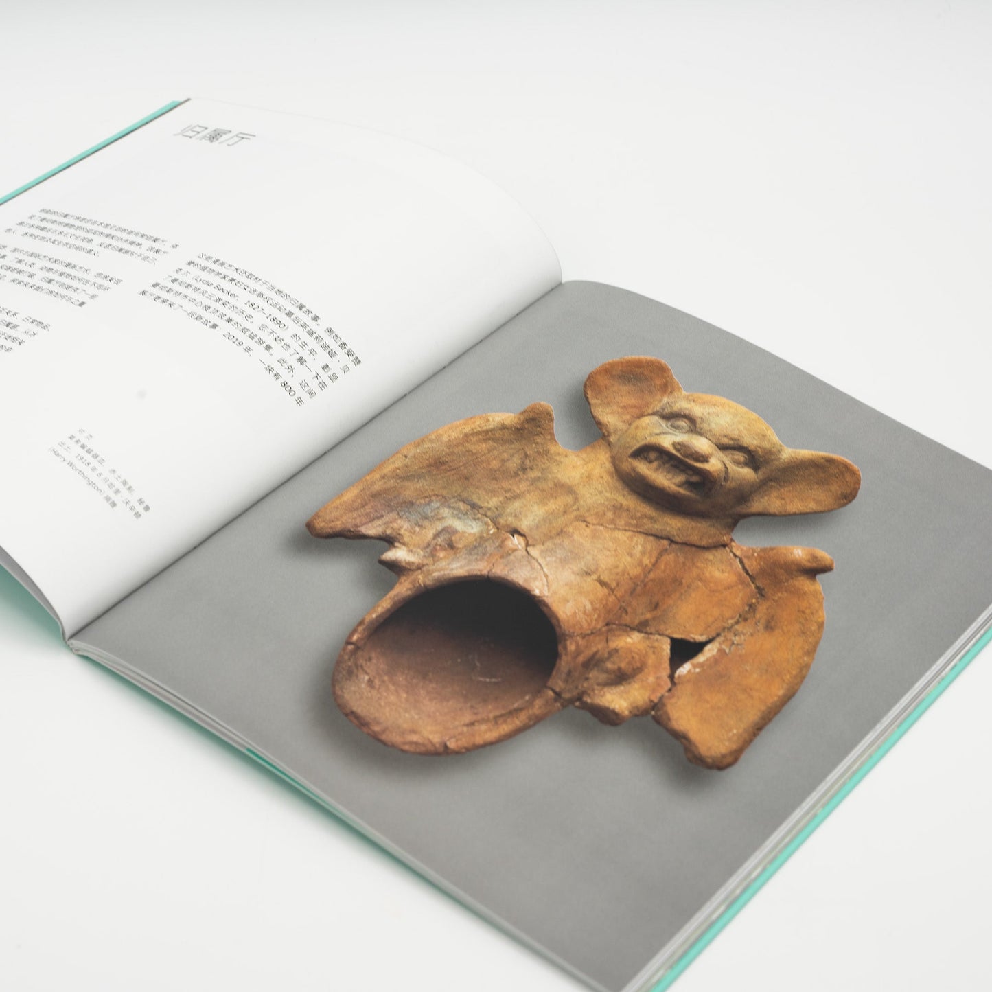 Inside view of the mandarin version of the guidebook.