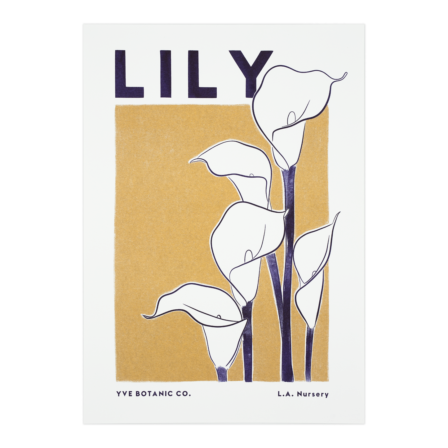 Risograph print featuring an illustration of a lily in front of a orange square, the word Lily on the top