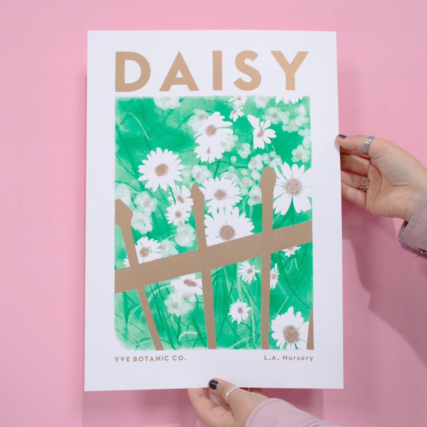 Someone holding a risograph print of a daisy and fence with the word Daisy at the top. Pink background in image.