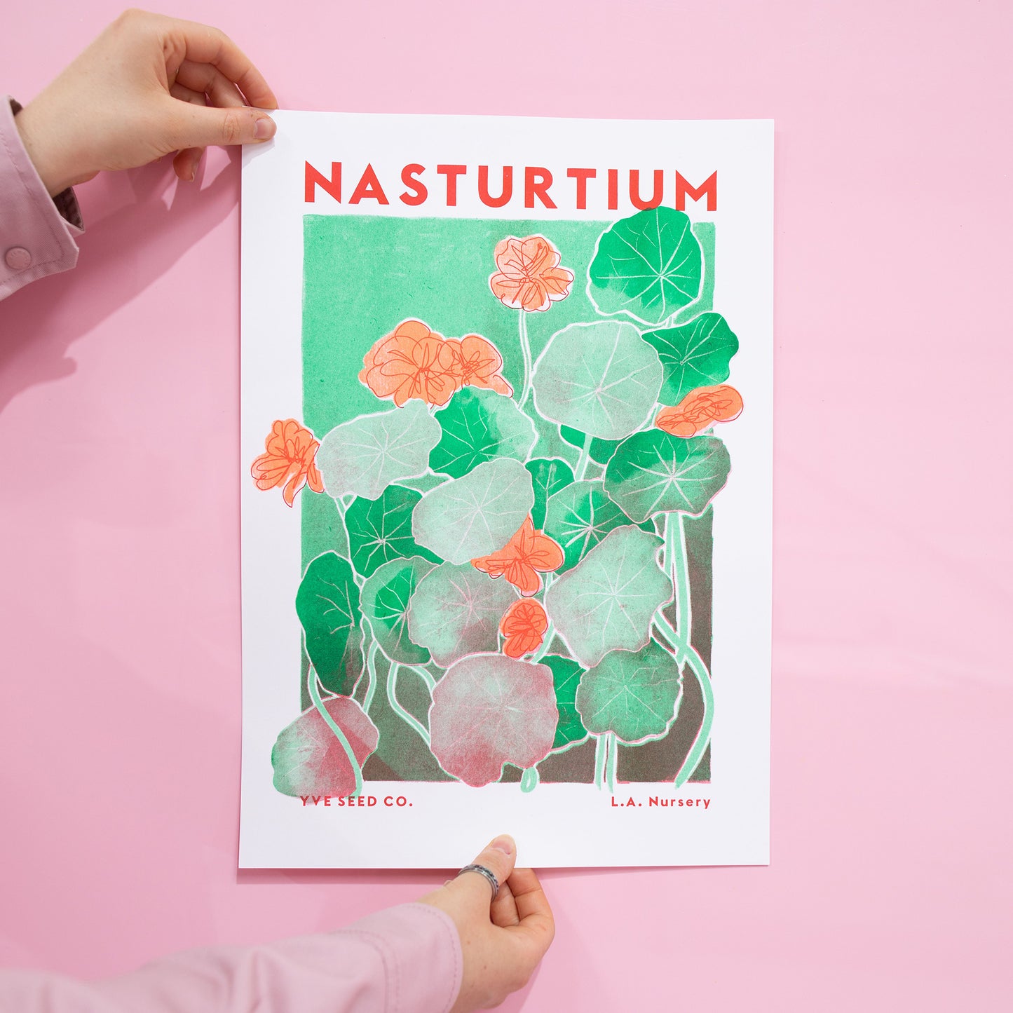 A risograph print featuring Nasturtium plants - pink background