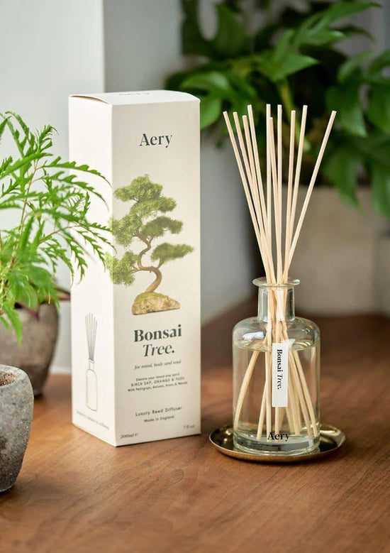 Lifestyle shot of the box and the glass botle with the reeds inside. The bottle stands on a small metal tray on a brown wooden surface. A green plant can be seen on the left and in the background.