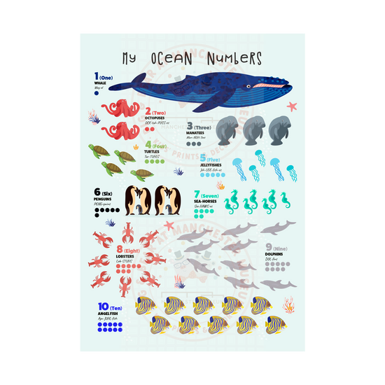 Print with the headline text, my ocean numbers. Ocean wildlife in groups of numbers from one large whale to ten small fish at the bottom.