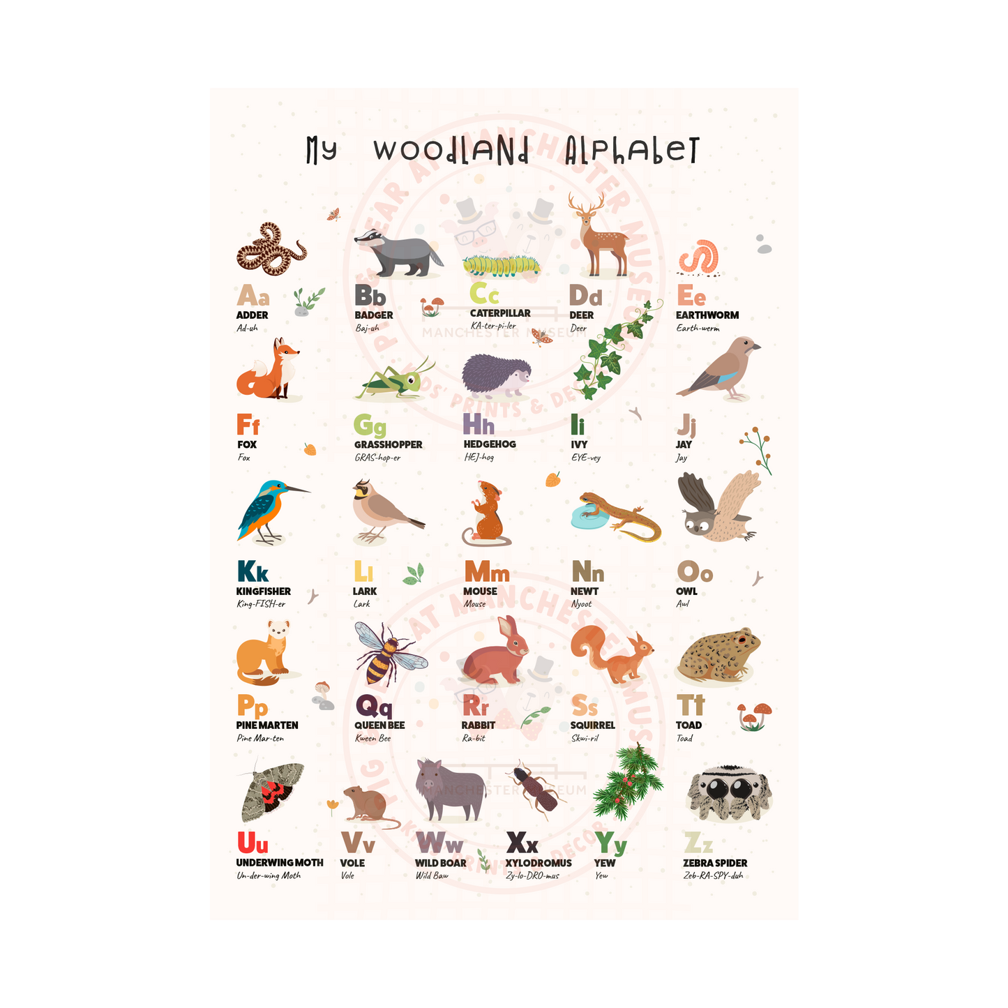 Print with the headline text, my woodland alphabet. Woodland wildlife and plants in rows of five with names to match the alphabet.
