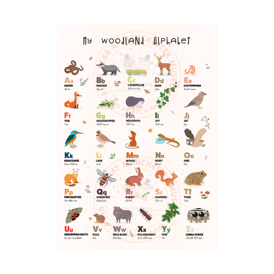 Print with the headline text, my woodland alphabet. Woodland wildlife and plants in rows of five with names to match the alphabet.