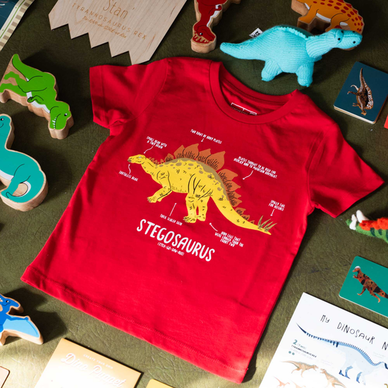 Flat laid products on a green surface. In the centre of the photo a red t-shirt with a yellow stegosaurus on it. Around the t-shirt wooden and knitted dinosaur toys can be seen.