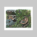 Knepp Jay Greetings Card