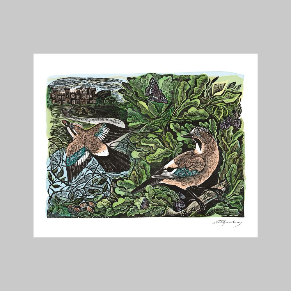 Knepp Jay Greetings Card