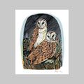 Owls at Orford Greetings Card