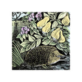 Hedgehog and Fruits Greetings Card