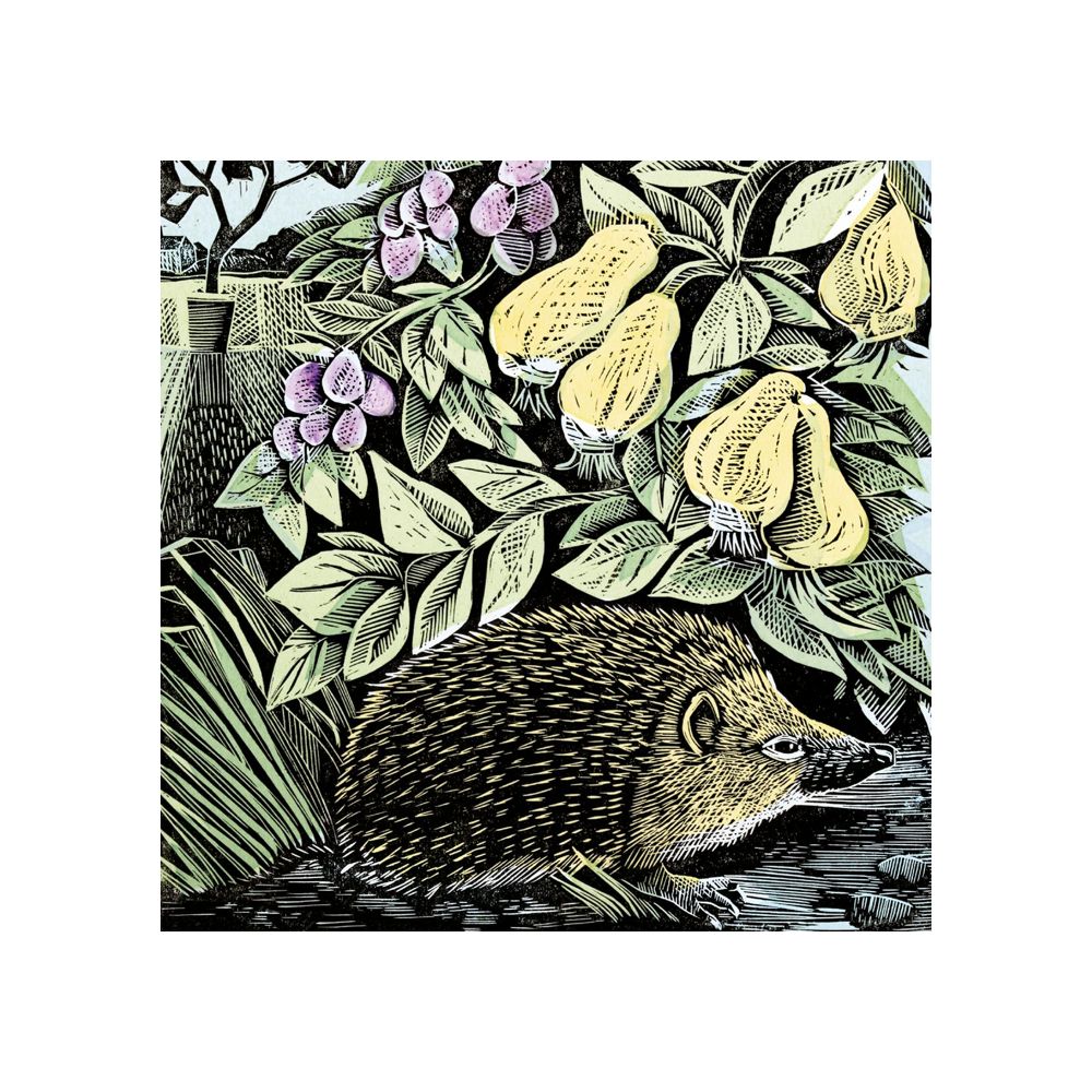 Hedgehog and Fruits Greetings Card