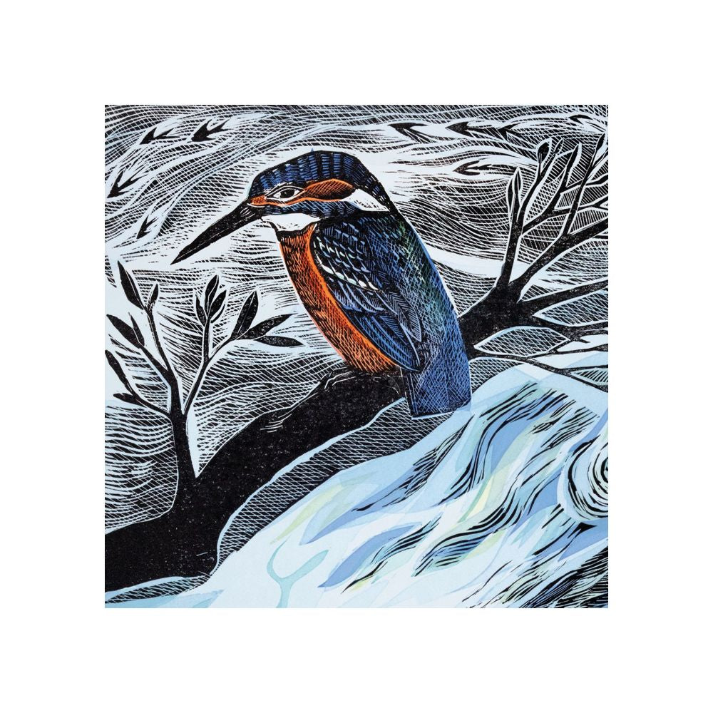 Summer Kingfisher Greetings Card