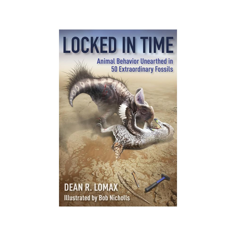 Locked in Time