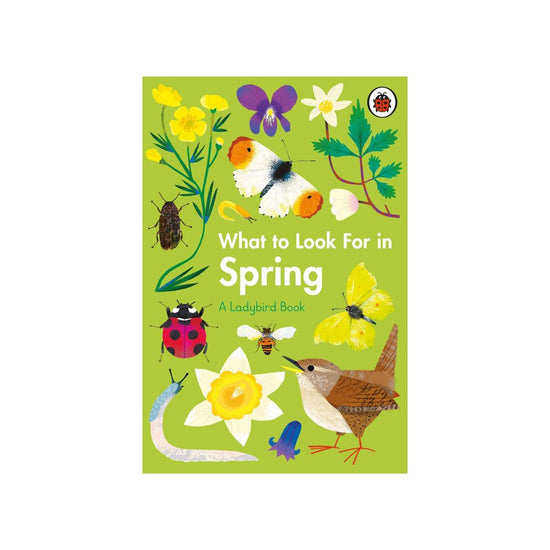 What to Look for in Spring