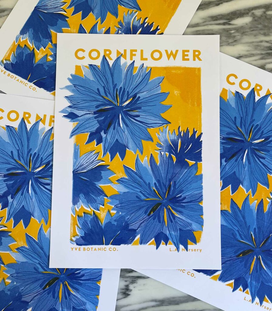 A series of the same print piled on top of each other. One is central to the image. The Risograph prints have a blue and mustard illustration of a cornflower. 