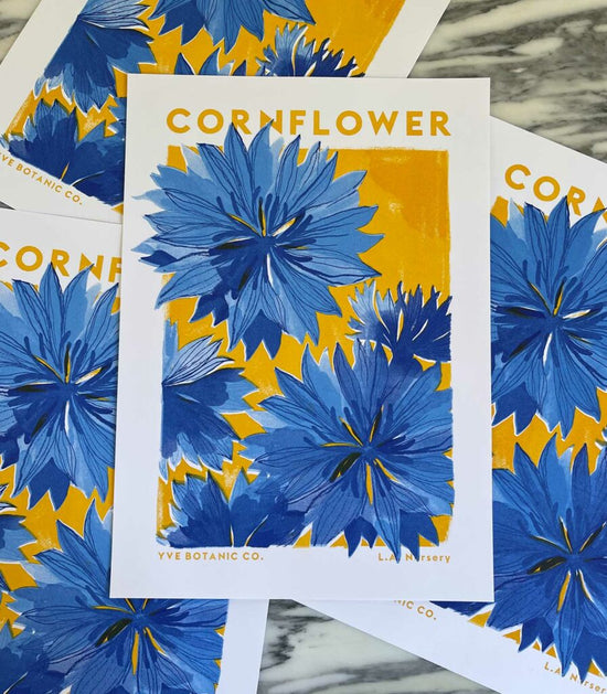 A series of the same print piled on top of each other. One is central to the image. The Risograph prints have a blue and mustard illustration of a cornflower. 