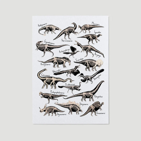 Dinosaur Fossils A4 Print