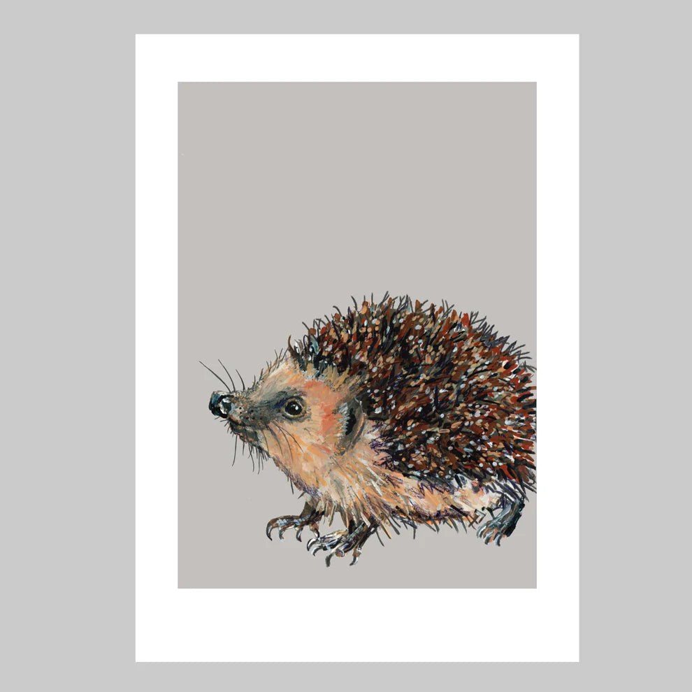 Hedgehog A4 Print