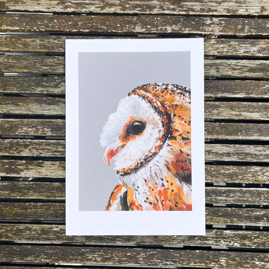 Print illustration of a barn owl photographed from above on a wooden table.