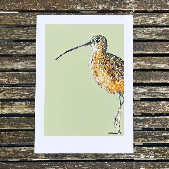 Print illustration of a curlew bird photographed from above on a wooden table.