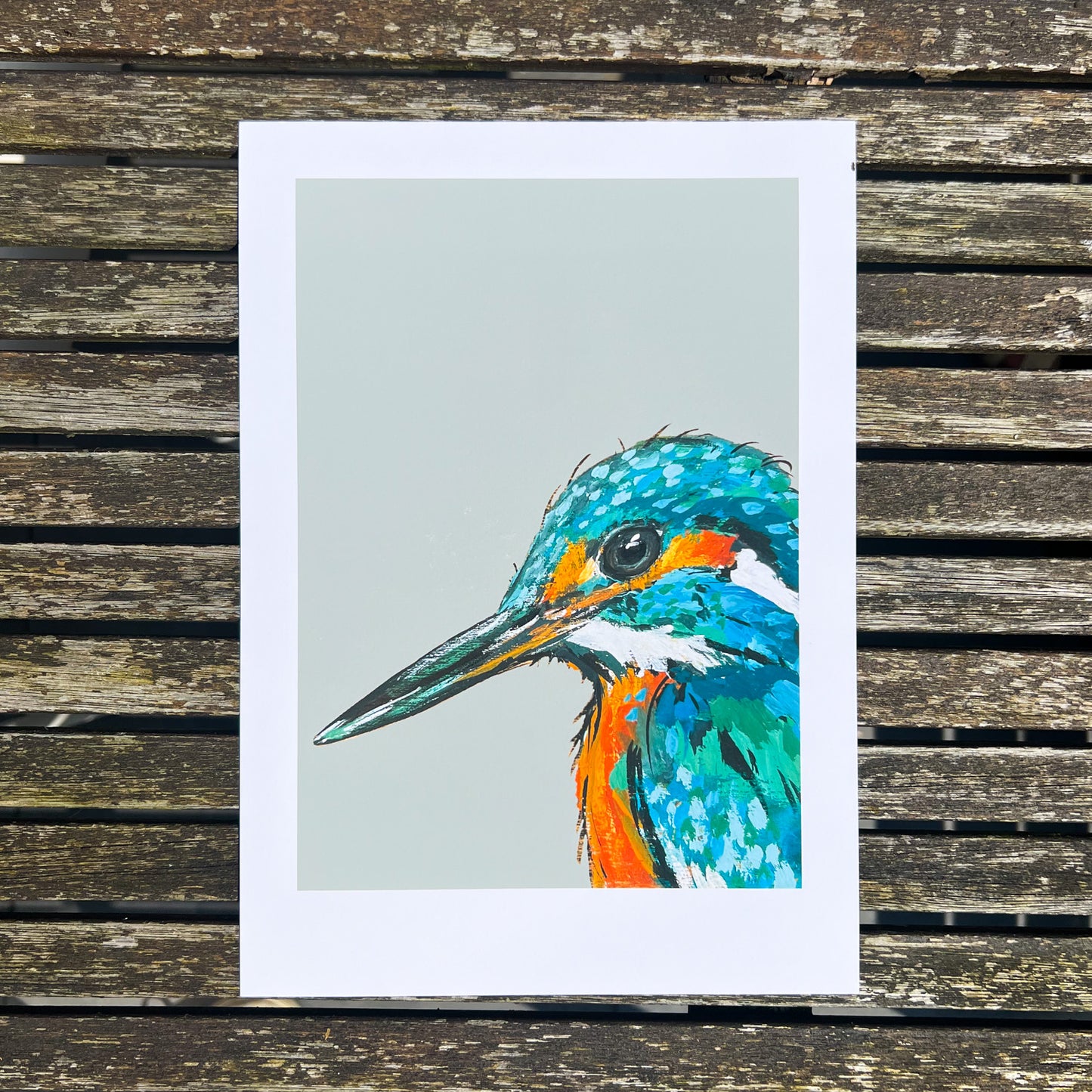 Print illustration of a kingfisher photographed from above on a wooden table.
