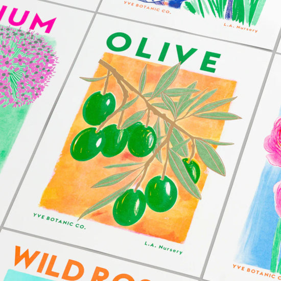 Orange and green risograph print of an olive branch illustration