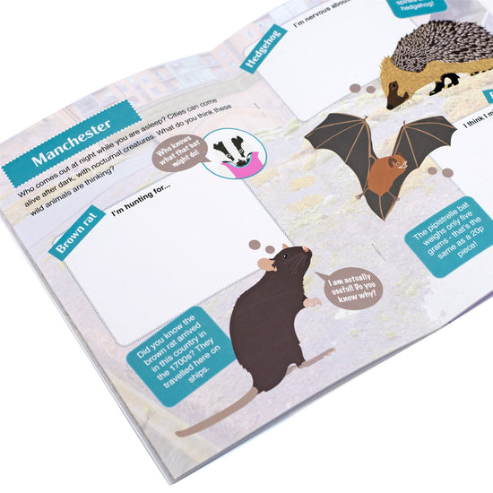 Inside pages of activity booklet with different nature based activities