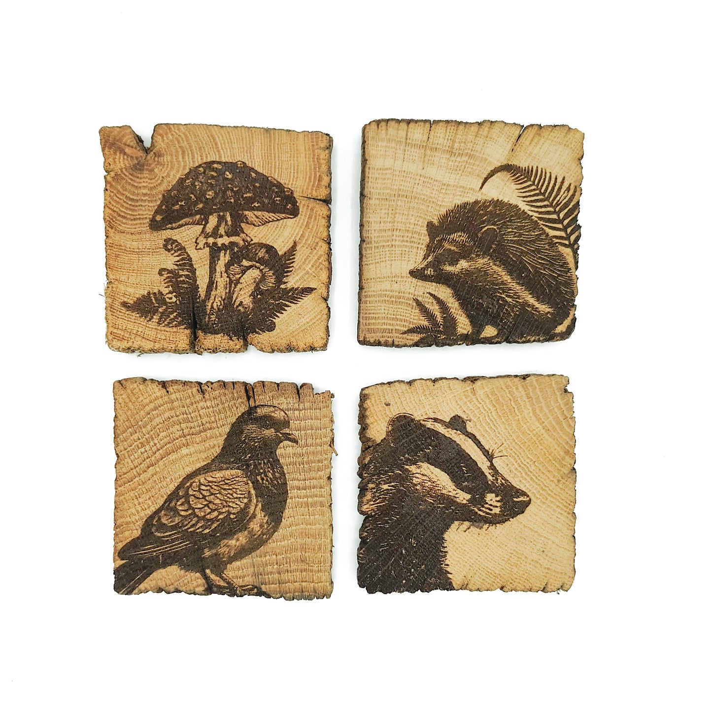 Four wooden coasters with engraved designs of a mushroom, hedgehog, pigeon, and badger.