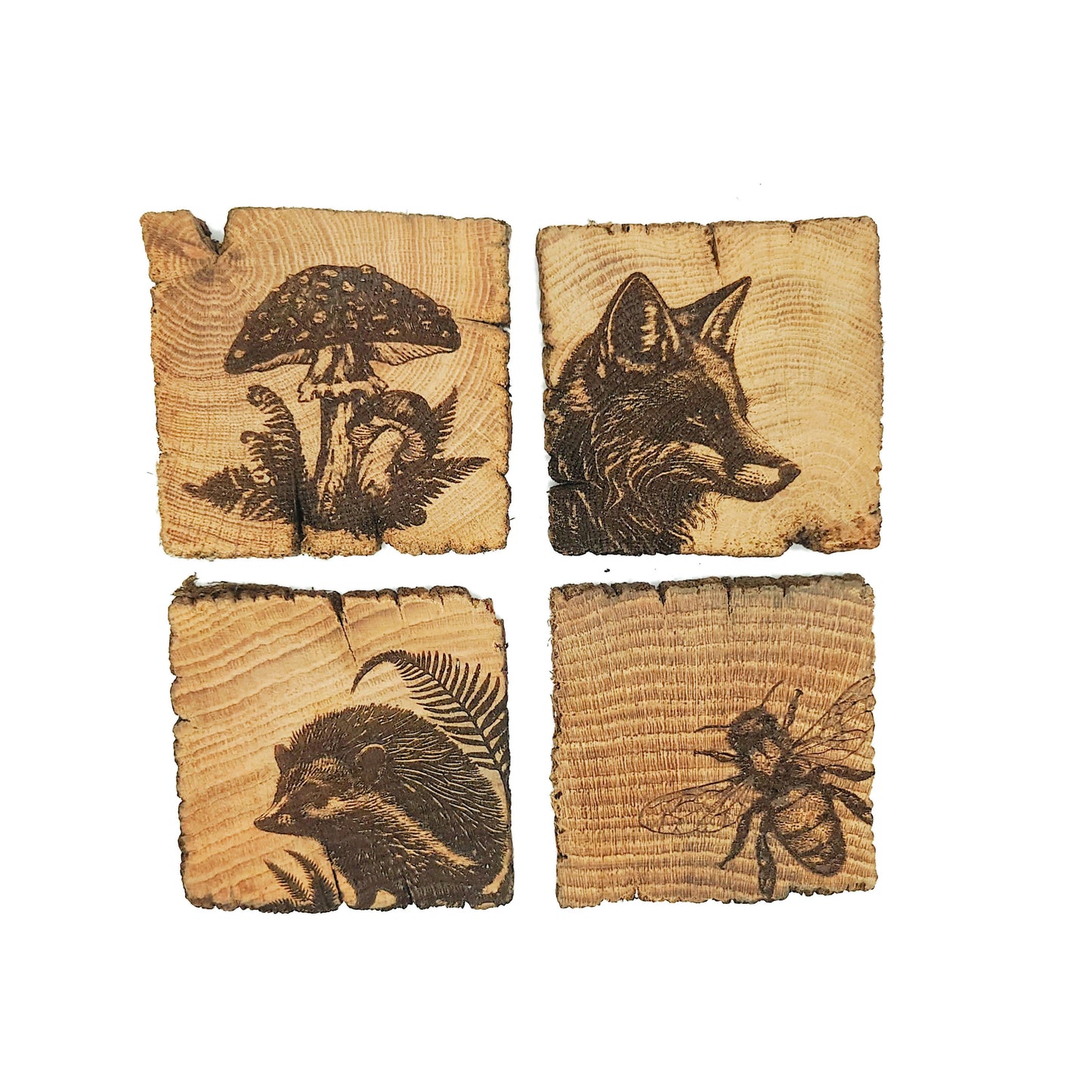 Four wooden coasters with engraved designs of a mushroom, fox, hedgehog, and bee.