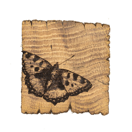 Coaster made out of fence post, with etching of a butterfly in the bottom left corner.