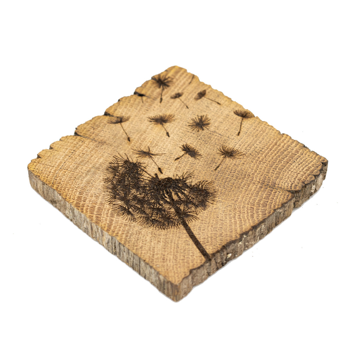 Square coaster made from wood with a dandelion blowing in the wind etched onto it.