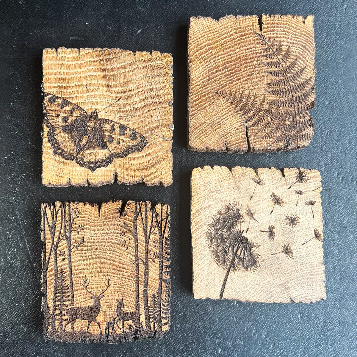 Four square wooden coasters with different nature-themed pyrographic designs: a butterfly, a fern, a forest scene with deer, and a dandelion with seeds blowing away.