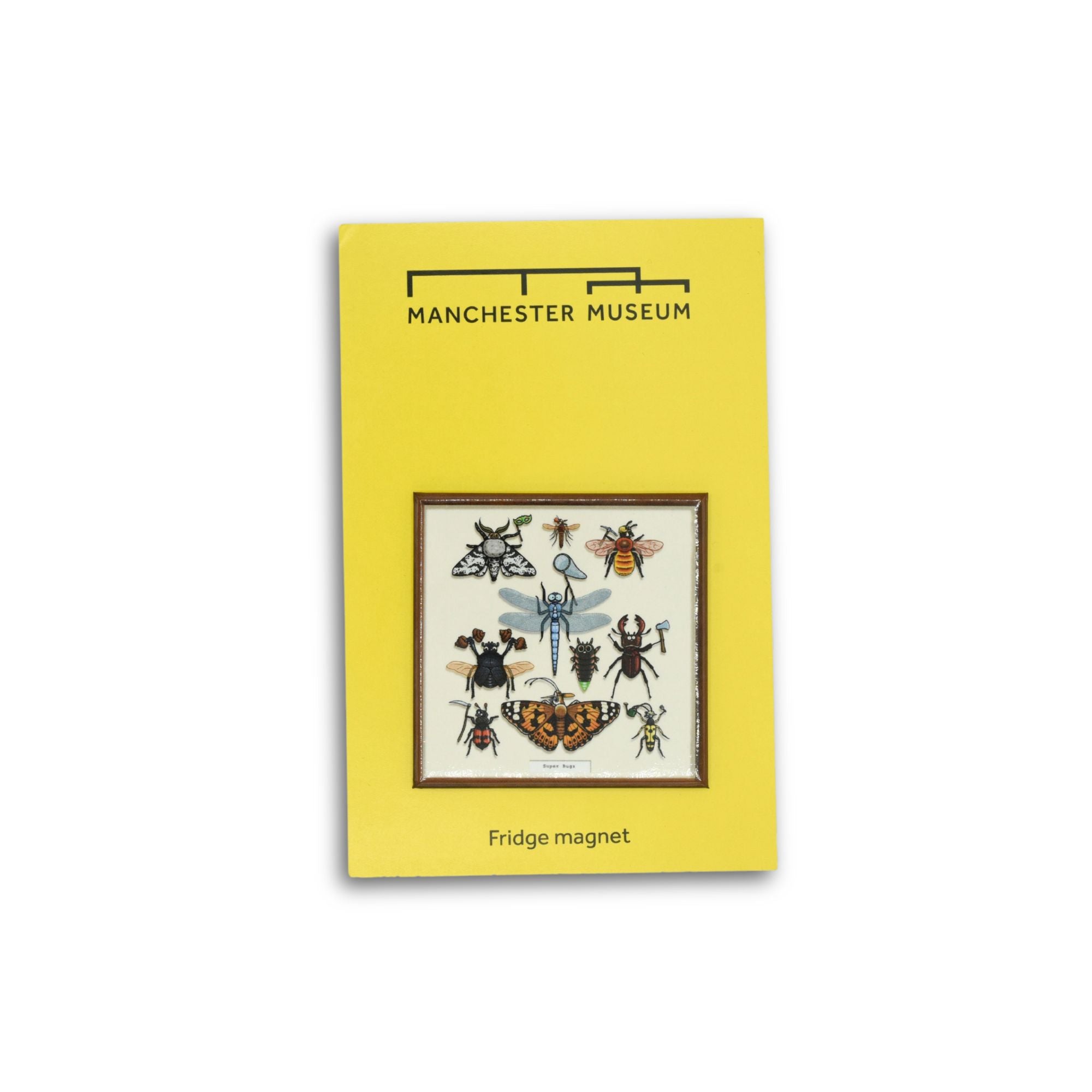 Super Bugs Magnet