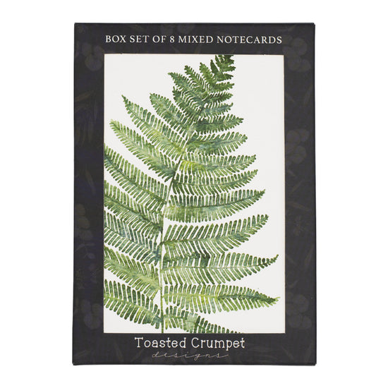 Packaging for a set of 8 mixed notecards. The first notecard is visible featuring an illustration of a fern leaf