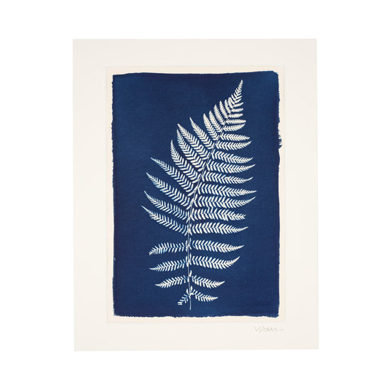 Cyanotype print with fern 