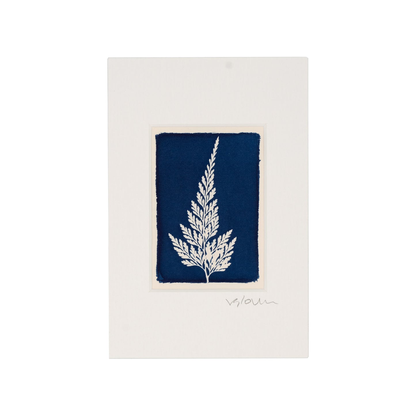 Cyanotype print of fern