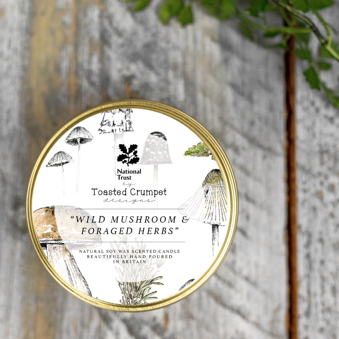 A gold lidded tin candle with a label featuring illustrations of mushrooms and herbs, and the text 'Wild Mushroom & Foraged Herbs'.