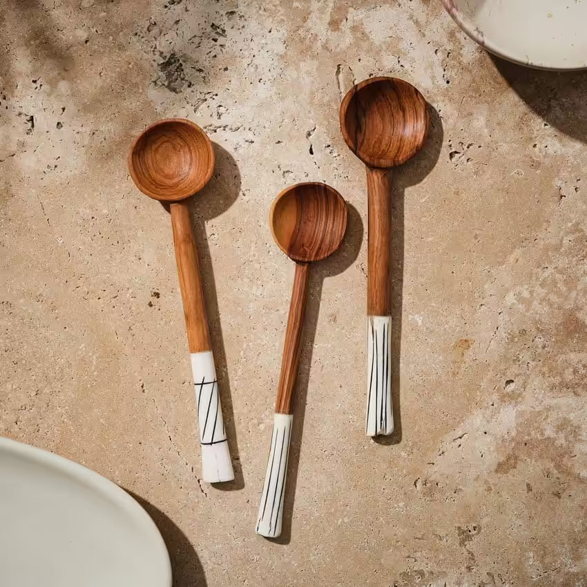 Bone Handled Tea Spoon