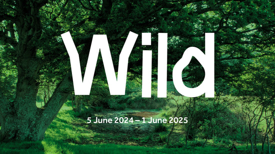 Wild Exhibition Entry (test DW 1)