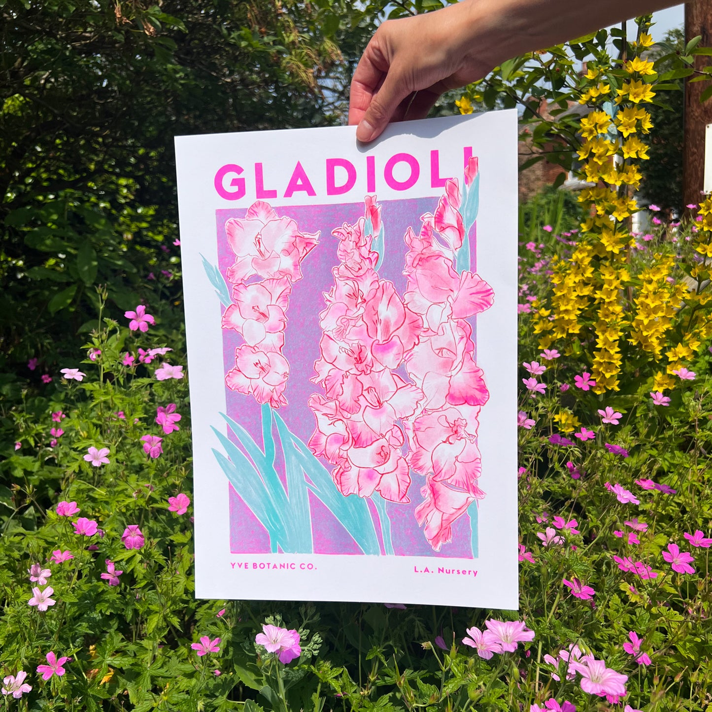 A person holding a pink and purple risograph print featuring Gladioli flowers in front of a garden flowers backdrop.